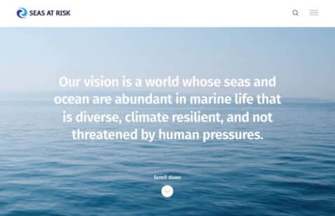 Seas At Risk website